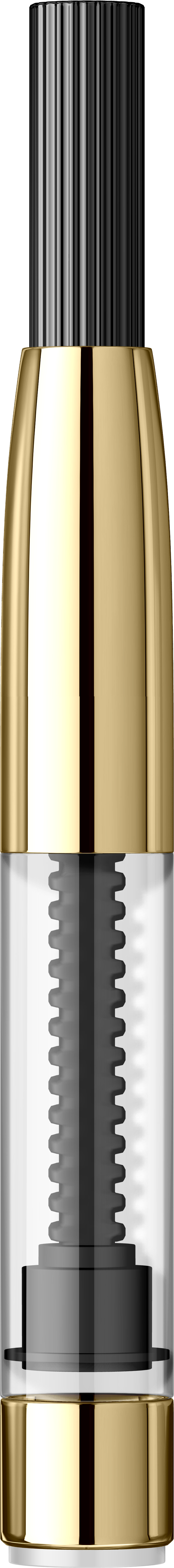 Convertor Platinum
